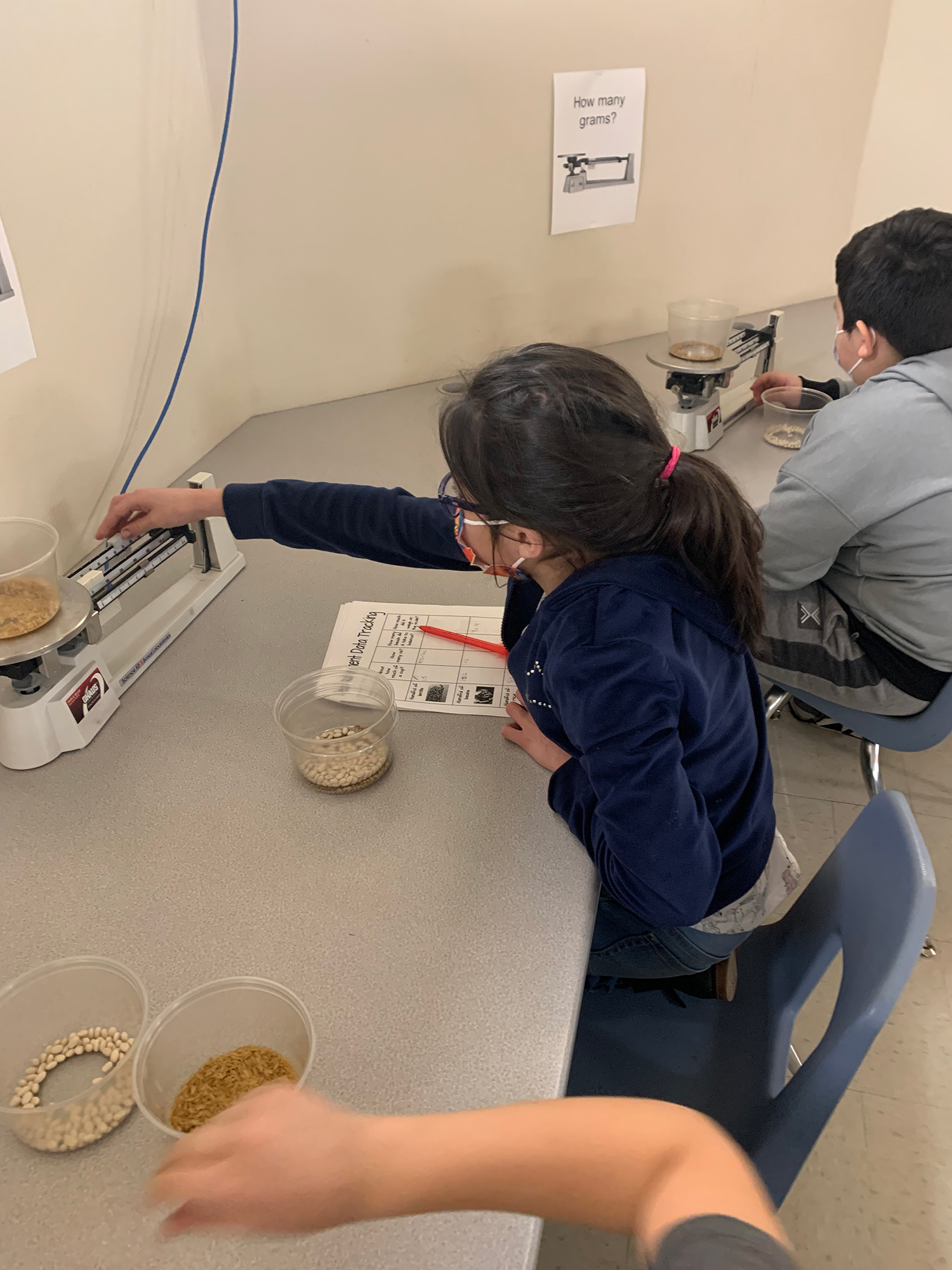 picture of student weighing material